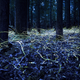 Image for article titled Luminous Nature Photographs Will Restore Your Sense of Wonder
